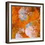 Art Grunge Floral Vintage Background in Orange and Light Pink-Irina QQQ-Framed Art Print