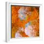 Art Grunge Floral Vintage Background in Orange and Light Pink-Irina QQQ-Framed Art Print