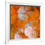 Art Grunge Floral Vintage Background in Orange and Light Pink-Irina QQQ-Framed Art Print