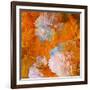 Art Grunge Floral Vintage Background in Orange and Light Pink-Irina QQQ-Framed Art Print