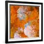 Art Grunge Floral Vintage Background in Orange and Light Pink-Irina QQQ-Framed Art Print