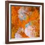 Art Grunge Floral Vintage Background in Orange and Light Pink-Irina QQQ-Framed Art Print