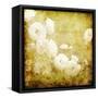 Art Grunge Floral Vintage Background Texture-Irina QQQ-Framed Stretched Canvas