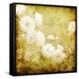 Art Grunge Floral Vintage Background Texture-Irina QQQ-Framed Stretched Canvas