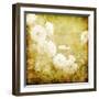 Art Grunge Floral Vintage Background Texture-Irina QQQ-Framed Art Print