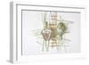 Art.Ichoke 2-Dimitar Lazarov-Framed Giclee Print