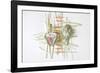 ART.ichoke - 2-Dimitar Lazarov --Framed Photographic Print