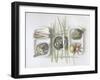 Art.Ichoke And-Dimitar Lazarov-Framed Giclee Print