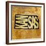 Brown Frame