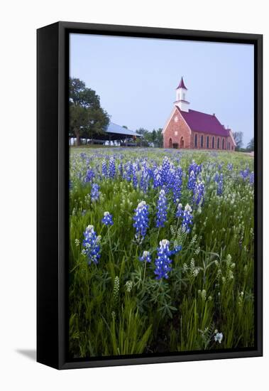 Art Methodist Church and Bluebonnets Near Mason, Texas, USA-Larry Ditto-Framed Stretched Canvas