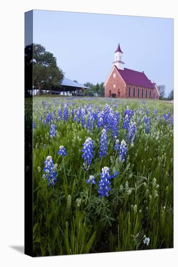 Art Methodist Church and Bluebonnets Near Mason, Texas, USA-Larry Ditto-Stretched Canvas