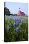 Art Methodist Church and Bluebonnets Near Mason, Texas, USA-Larry Ditto-Stretched Canvas