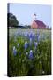 Art Methodist Church and Bluebonnets Near Mason, Texas, USA-Larry Ditto-Stretched Canvas