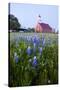 Art Methodist Church and Bluebonnets Near Mason, Texas, USA-Larry Ditto-Stretched Canvas