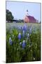 Art Methodist Church and Bluebonnets Near Mason, Texas, USA-Larry Ditto-Mounted Photographic Print