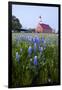 Art Methodist Church and Bluebonnets Near Mason, Texas, USA-Larry Ditto-Framed Photographic Print