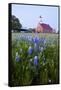 Art Methodist Church and Bluebonnets Near Mason, Texas, USA-Larry Ditto-Framed Stretched Canvas