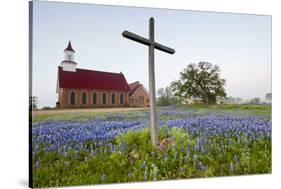 Art Methodist Church and Bluebonnets Near Mason, Texas, USA-Larry Ditto-Stretched Canvas