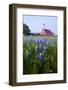 Art Methodist Church and Bluebonnets Near Mason, Texas, USA-Larry Ditto-Framed Photographic Print