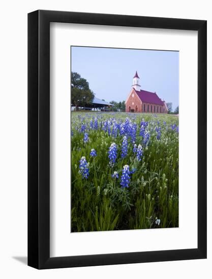 Art Methodist Church and Bluebonnets Near Mason, Texas, USA-Larry Ditto-Framed Photographic Print