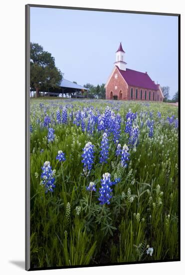 Art Methodist Church and Bluebonnets Near Mason, Texas, USA-Larry Ditto-Mounted Photographic Print