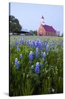 Art Methodist Church and Bluebonnets Near Mason, Texas, USA-Larry Ditto-Stretched Canvas