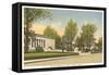 Art Museum, Toledo, Ohio-null-Framed Stretched Canvas