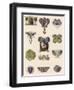 Art Nouveau Brooches-null-Framed Art Print