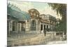 Art Nouveau Facade in Vichy, France-null-Mounted Premium Giclee Print