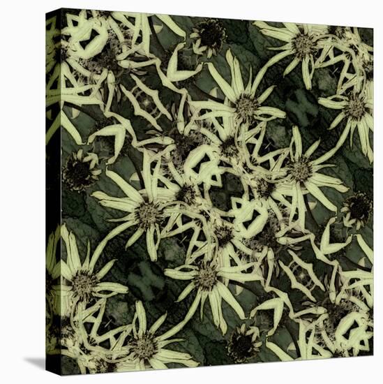 Art Nouveau Geometric Ornamental Vintage Pattern in Green, Black and Light Yellow Colors-Irina QQQ-Stretched Canvas