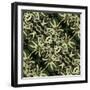 Art Nouveau Geometric Ornamental Vintage Pattern in Green, Black and Light Yellow Colors-Irina QQQ-Framed Art Print