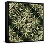 Art Nouveau Geometric Ornamental Vintage Pattern in Green, Black and Light Yellow Colors-Irina QQQ-Framed Stretched Canvas