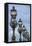 Art Nouveau Lamps Posts on Pont Alexandre III - II-Cora Niele-Framed Stretched Canvas