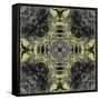 Art Nouveau Ornamental Vintage Pattern in Yellow and Grey Colors-Irina QQQ-Framed Stretched Canvas