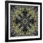 Art Nouveau Ornamental Vintage Pattern in Yellow and Grey Colors-Irina QQQ-Framed Art Print