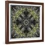 Art Nouveau Ornamental Vintage Pattern in Yellow and Grey Colors-Irina QQQ-Framed Art Print