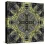 Art Nouveau Ornamental Vintage Pattern in Yellow and Grey Colors-Irina QQQ-Stretched Canvas