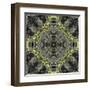 Art Nouveau Ornamental Vintage Pattern in Yellow and Grey Colors-Irina QQQ-Framed Art Print