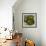 Art Nouveau, Showcase with Different Objects-null-Framed Giclee Print displayed on a wall