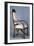 Art Nouveau Style Armchair Created for Universal Exhibition of 1900, Part of Dining Room Set-Louis Majorelle-Framed Giclee Print