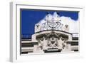 White Frame