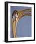 Art Nouveau Style Chair, 1900-Hector Guimard-Framed Giclee Print