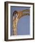 Art Nouveau Style Chair, 1900-Hector Guimard-Framed Giclee Print