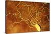 Art of a Salmonella-like Bacterium-Francis Leroy-Stretched Canvas