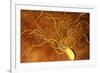 Art of a Salmonella-like Bacterium-Francis Leroy-Framed Photographic Print