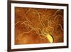 Art of a Salmonella-like Bacterium-Francis Leroy-Framed Photographic Print