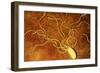 Art of a Salmonella-like Bacterium-Francis Leroy-Framed Photographic Print