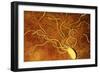 Art of a Salmonella-like Bacterium-Francis Leroy-Framed Photographic Print