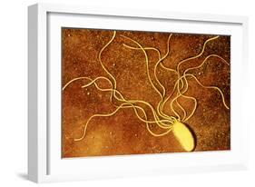 Art of a Salmonella-like Bacterium-Francis Leroy-Framed Photographic Print