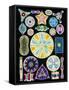 Art of Diatom Algae (from Ernst Haeckel)-null-Framed Stretched Canvas